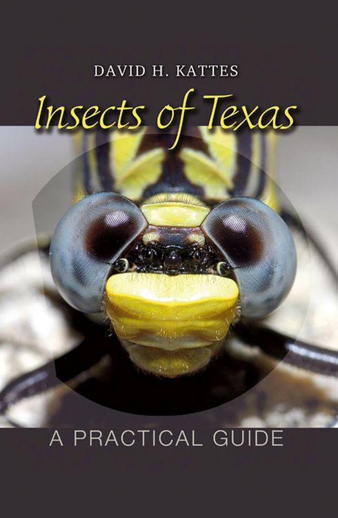 Produktbild: Insects of Texas