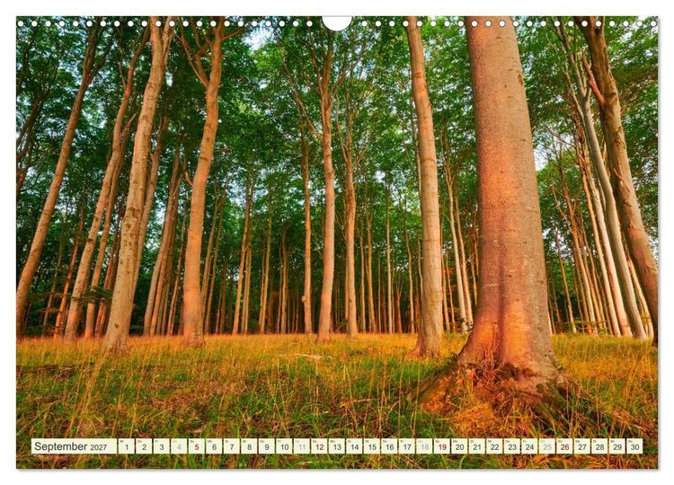 Produktbild: R&uuml;gen - Jasmund Nationalpark (Wandkalender 2027 DIN A3 quer), CALVENDO Monatskalender