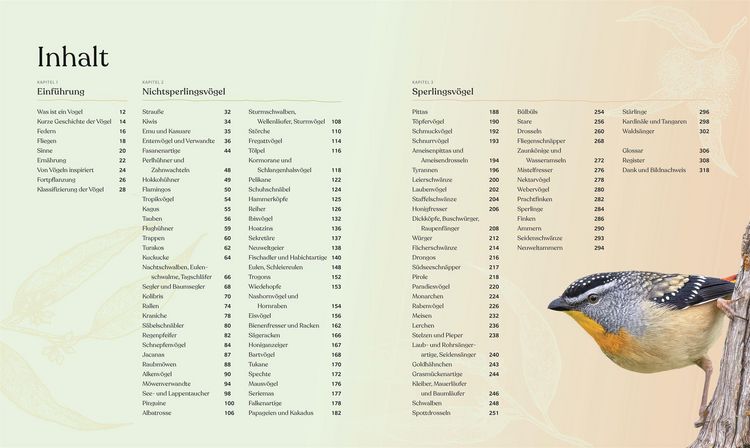 Produktbild: V&ouml;gel - Eine Natur- und Kulturgeschichte
