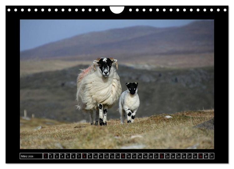 Produktbild: Schottlands wilder Westen (Wandkalender 2026 DIN A4 quer), CALVENDO Monatskalender