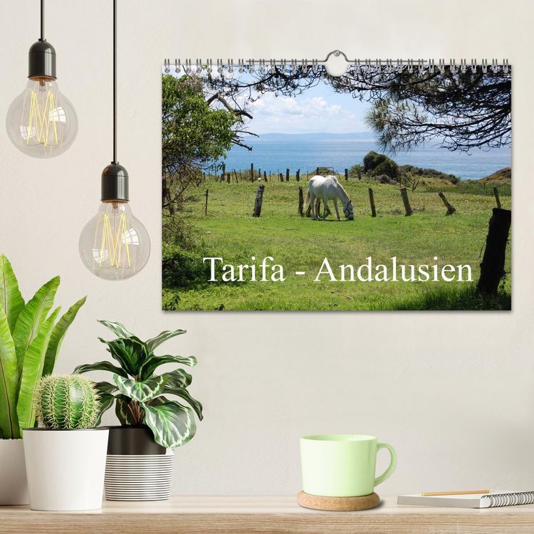 Produktbild: Tarifa - Andalusien (Wandkalender 2026 DIN A4 quer), CALVENDO Monatskalender