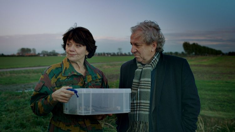 Produktbild: W.- Auf Flanderns Feldern