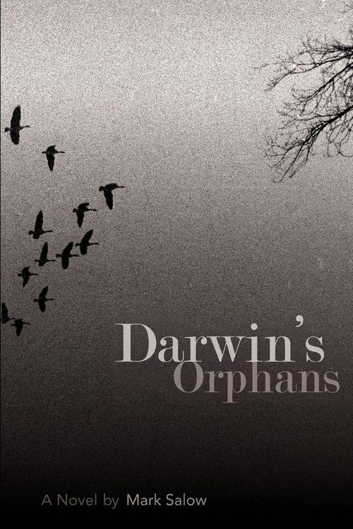 Produktbild: Darwin's Orphans