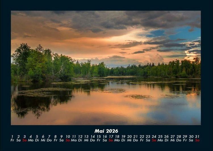 Produktbild: B&auml;ume 2026 Fotokalender DIN A4