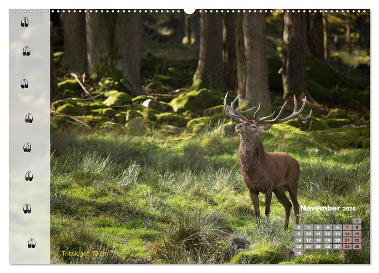 Produktbild: Tierspuren in der Natur (hochwertiger Premium Wandkalender 2026 DIN A2 quer), Kunstdruck in Hochglanz
