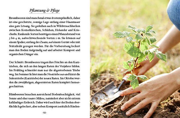 Produktbild: Das große kleine Buch: Mein Naschgarten