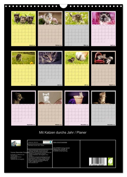 Produktbild: Mit Katzen durchs Jahr / Planer (Wandkalender 2026 DIN A3 hoch), CALVENDO Monatskalender