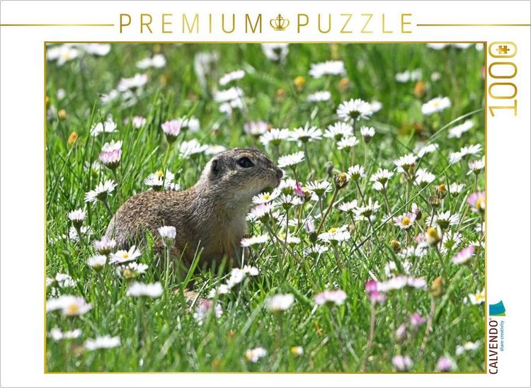 Produktbild: CALVENDO Puzzle Immer wieder lecker | 1000 Teile Lege-Gr&ouml;&szlig;e 64x48cm Foto-Puzzle f&uuml;r gl&uuml;ckliche Stunden