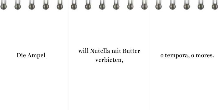 Produktbild: Der Desinformator