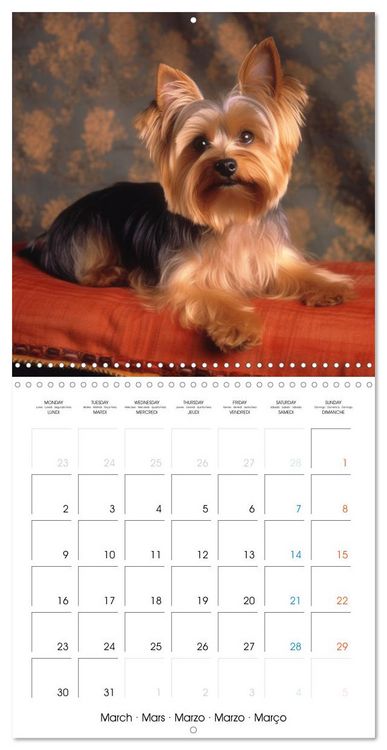 Produktbild: Portraits de petits chiens (Calendrier mural carr&eacute; 2026 30x30 cm) Calendrier double avec une page pour vos prises de notes