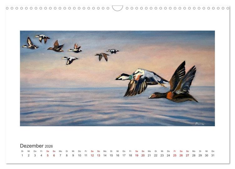 Produktbild: Auf leichten Schwingen - Zugv&ouml;gel (Wandkalender 2026 DIN A3 quer), CALVENDO Monatskalender
