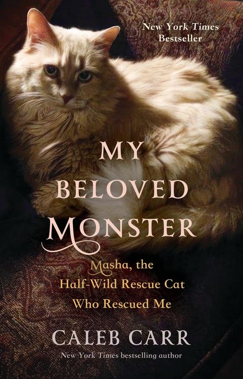 Produktbild: My Beloved Monster