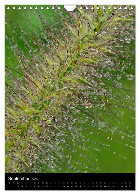 Produktbild: Kunst in der Natur (Wandkalender 2026 DIN A4 hoch), CALVENDO Monatskalender