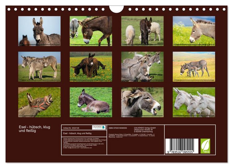 Produktbild: Esel - h&uuml;bsch, klug und flei&szlig;ig (Wandkalender 2026 DIN A4 quer), CALVENDO Monatskalender