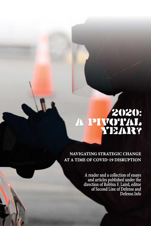 Produktbild: 2020: A Pivotal Year?