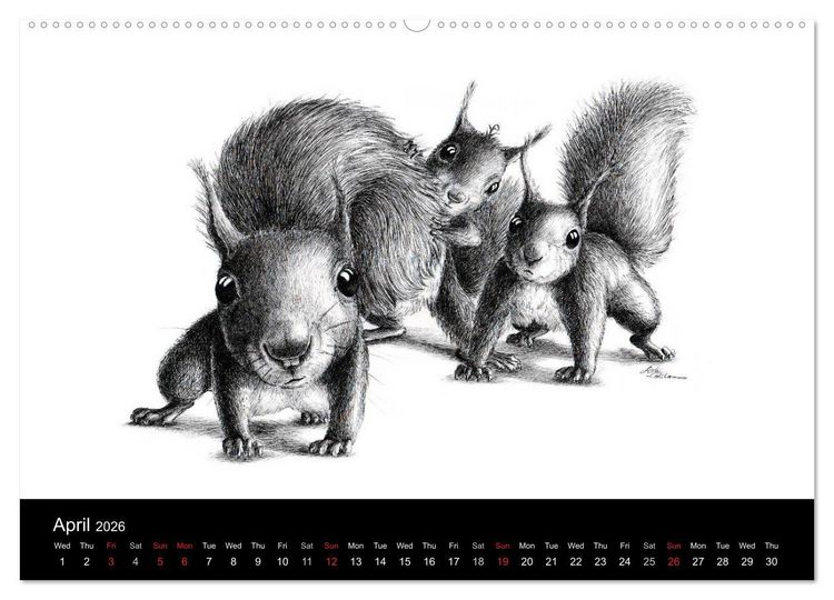 Produktbild: owls & friends 2026 (High Quality Premium Wall Calendar 2026 DIN A2 landscape),CALVENDO 12 Month Wall Calendar