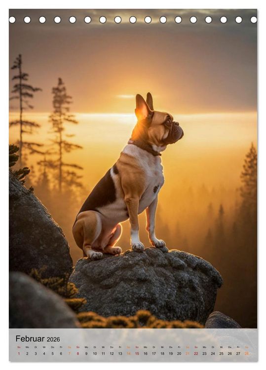 Produktbild: Franz&ouml;sische Bulldogge - ein Hund f&uuml;r die Familie (Tischkalender 2026 DIN A5 hoch), CALVENDO Monatskalender