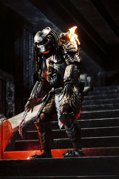 Produktbild: Alien vs. Predator