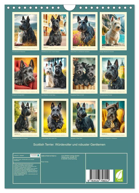 Produktbild: Scottish Terrier. W&uuml;rdevoller und robuster Gentlemen (Wandkalender 2027 DIN A4 hoch), CALVENDO Monatskalender
