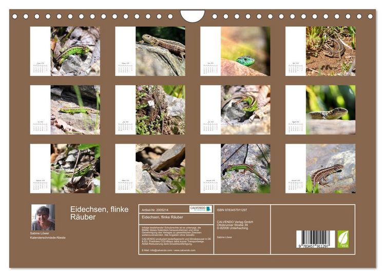 Produktbild: Eidechsen, flinke R&auml;uber (Wandkalender 2026 DIN A4 quer), CALVENDO Monatskalender
