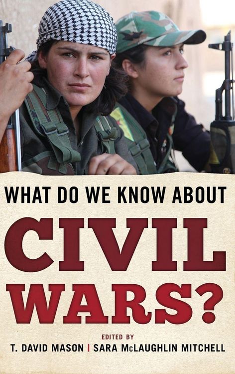 Produktbild: What Do We Know about Civil Wars?
