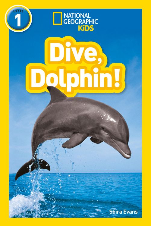 Produktbild: Dive, Dolphin!