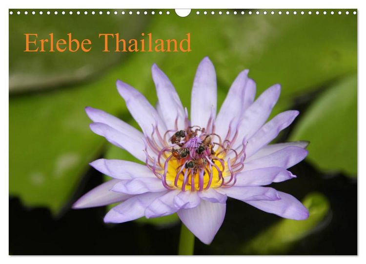 Produktbild: Erlebe Thailand (Wandkalender 2026 DIN A3 quer), CALVENDO Monatskalender