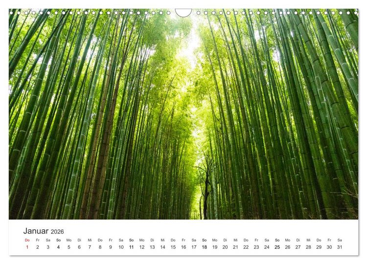 Produktbild: Japan - Land der Kontraste (Wandkalender 2026 DIN A3 quer), CALVENDO Monatskalender