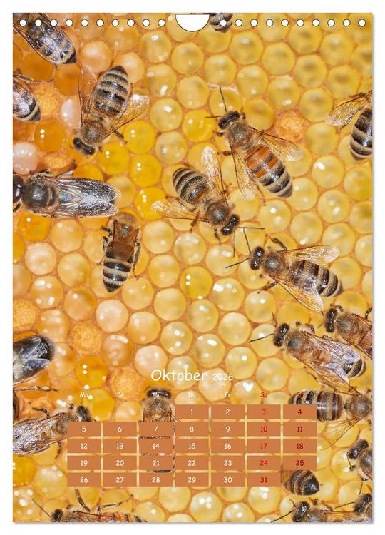 Produktbild: Gesch&auml;ftig wie im Bienenstock (Wandkalender 2026 DIN A4 hoch), CALVENDO Monatskalender