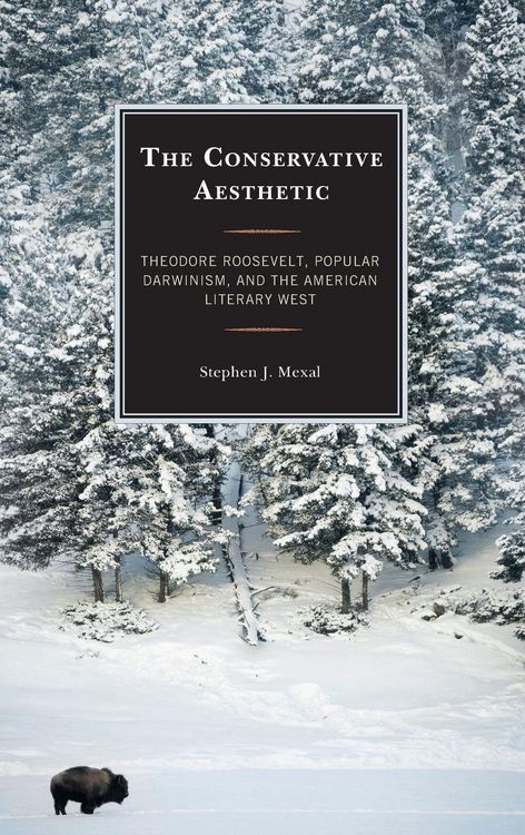 Produktbild: Conservative Aesthetic