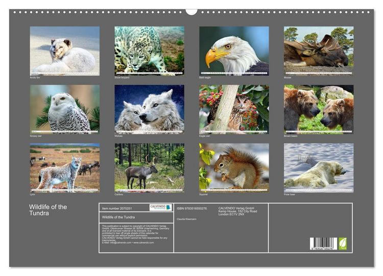 Produktbild: Wildlife of the Tundra (Wall Calendar 2026 DIN A2 landscape), CALVENDO 12 Month Wall Calendar