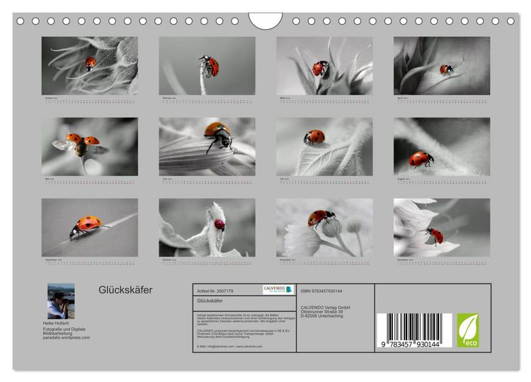 Produktbild: Gl&uuml;cksk&auml;fer (Wandkalender 2026 DIN A4 quer), CALVENDO Monatskalender