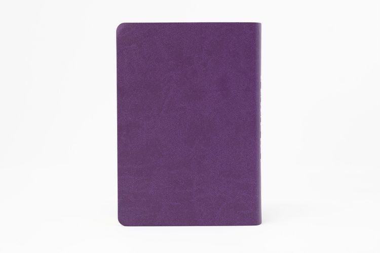 Produktbild: Die Bibel. Senfkorn, Handschmeichler lila
