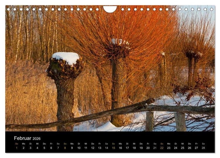 Produktbild: Brandenburg - Landschaften zwischen Elbe und Oder (Wandkalender 2026 DIN A4 quer), CALVENDO Monatskalender