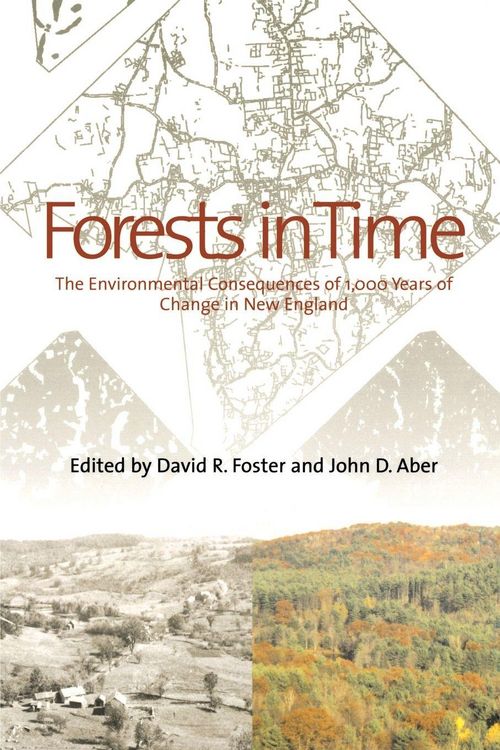 Produktbild: Forests in Time