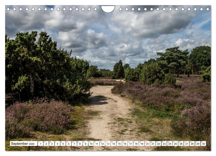 Produktbild: Lingen Ems (Wandkalender 2026 DIN A4 quer), CALVENDO Monatskalender