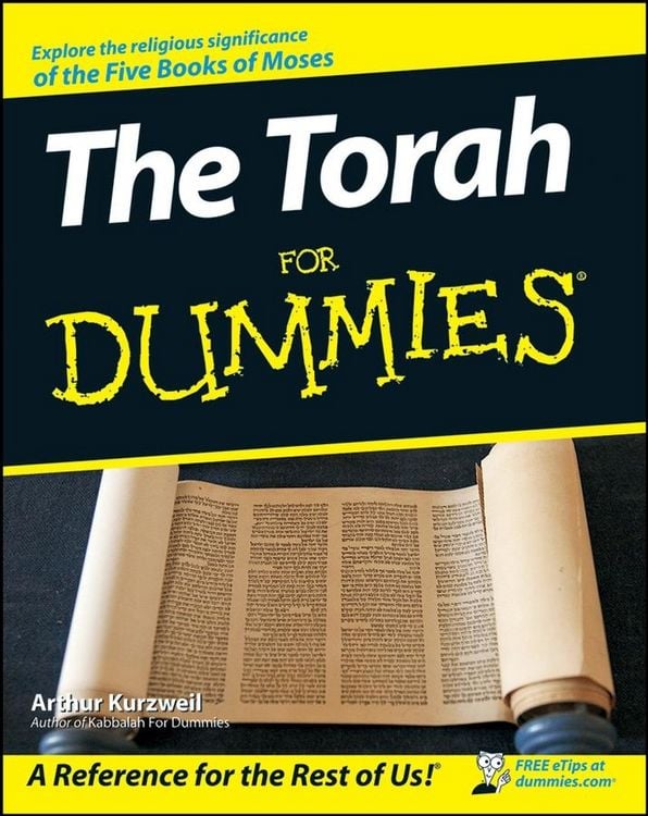 Produktbild: The Torah For Dummies