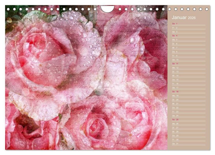 Produktbild: Romantische Rosen (Wandkalender 2026 DIN A4 quer), CALVENDO Monatskalender