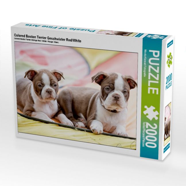 Produktbild: Colored Boston Terrier Geschwister Red/White (Puzzle)