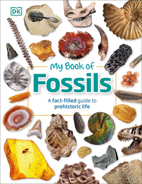 Produktbild: My Book of Fossils