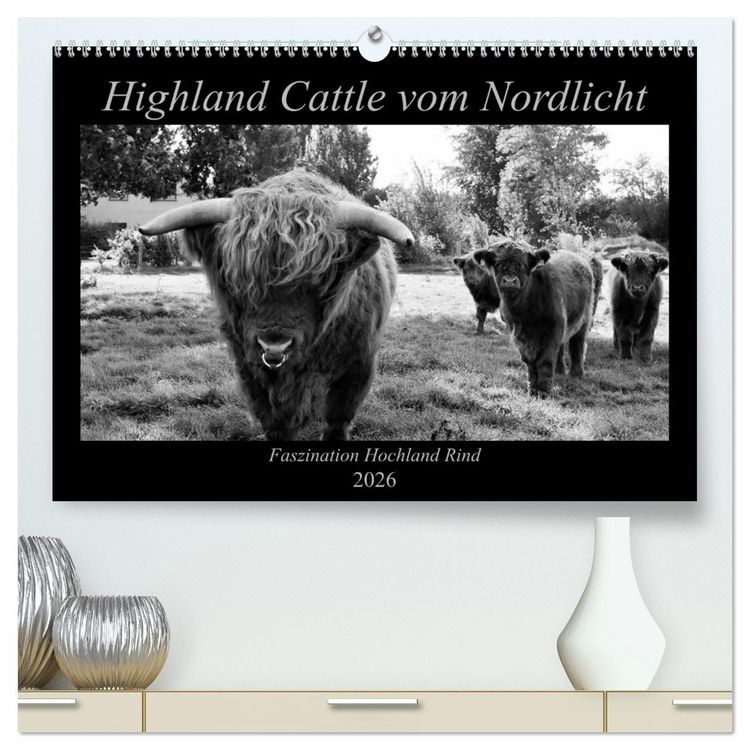Produktbild: Highland Cattle vom Nordlicht - Faszination Hochland Rind (hochwertiger Premium Wandkalender 2026 DIN A2 quer), Kunstdruck in Hochglanz