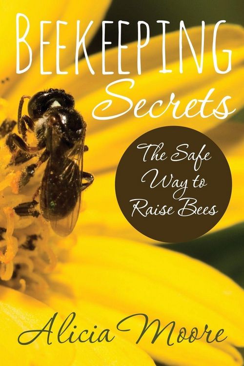 Produktbild: Beekeeping Secrets the Safe Way to Raise Bees