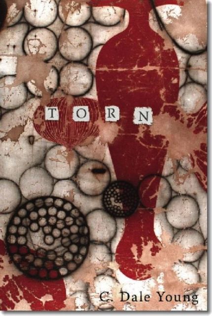 Produktbild: Torn