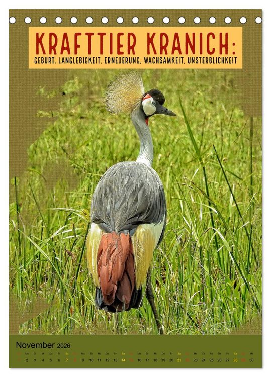 Produktbild: Afrikanische Krafttiere und deren Bedeutung (Tischkalender 2026 DIN A5 hoch), CALVENDO Monatskalender