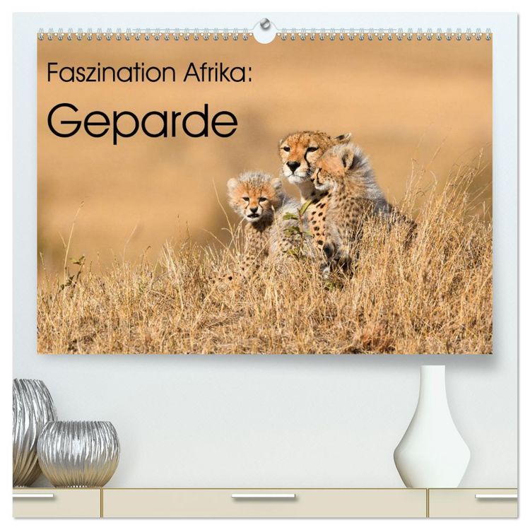 Produktbild: Faszinaton Afrika: Geparde (hochwertiger Premium Wandkalender 2026 DIN A2 quer), Kunstdruck in Hochglanz