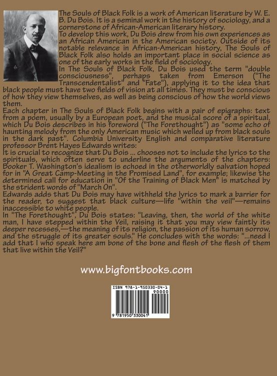 Produktbild: The Souls of Black Folk