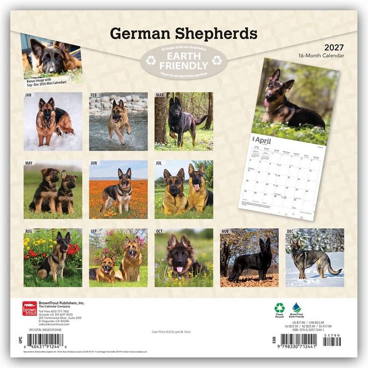 Produktbild: German Shepherds &ndash; Deutsche Sch&auml;ferhunde 2027 &ndash; 16-Monatskalender