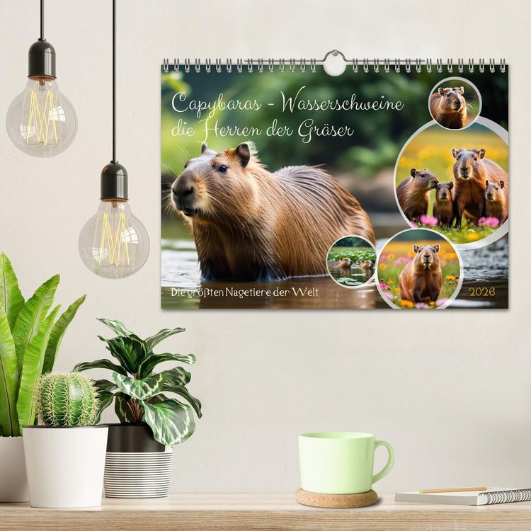 Produktbild: Capybaras - Wasserschweine die Herren der Gr&auml;ser (Wandkalender 2026 DIN A4 quer), CALVENDO Monatskalender
