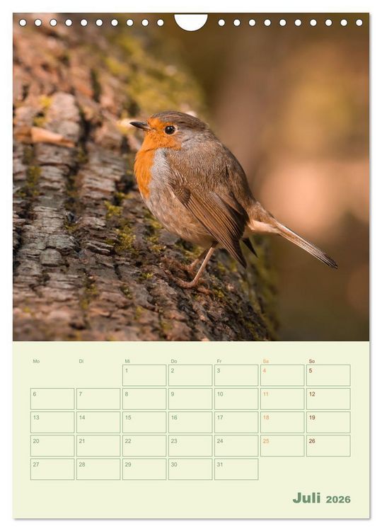 Produktbild: Waldmomente (Wandkalender 2026 DIN A4 hoch), CALVENDO Monatskalender