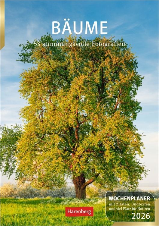 Produktbild: Bäume Wochenplaner 2026 - 53 stimmungsvolle Fotografien